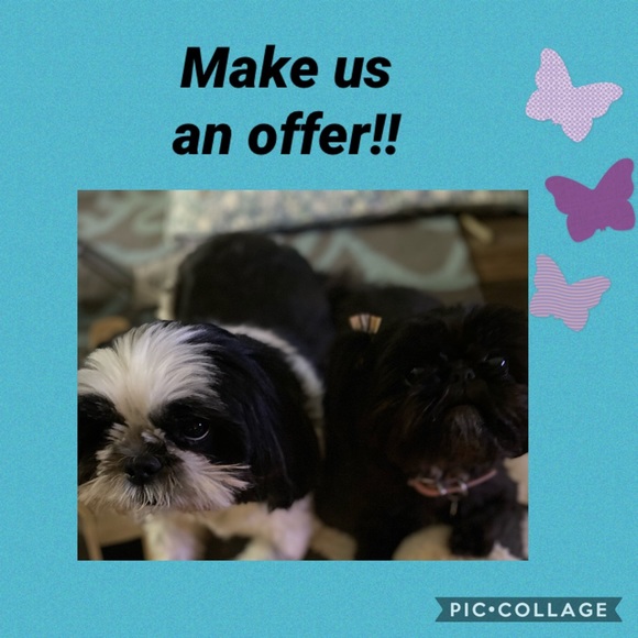 Meet your Posher, Deb - Picture 2 of 2